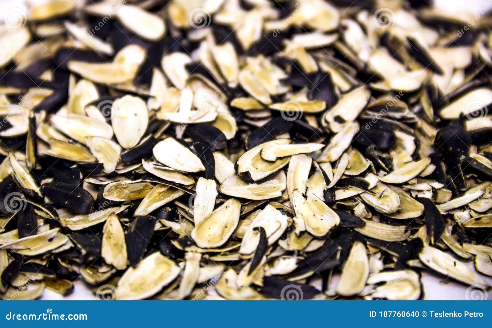 Sunflower seed shells stock photo. Image of black, plate 107760640