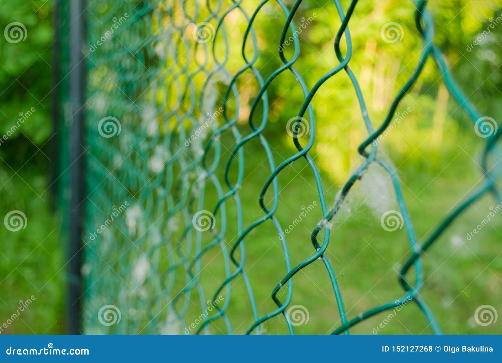 Close Up Of Metal Chain-link In The Garden. Diamond Mesh Wire Fence On ...

