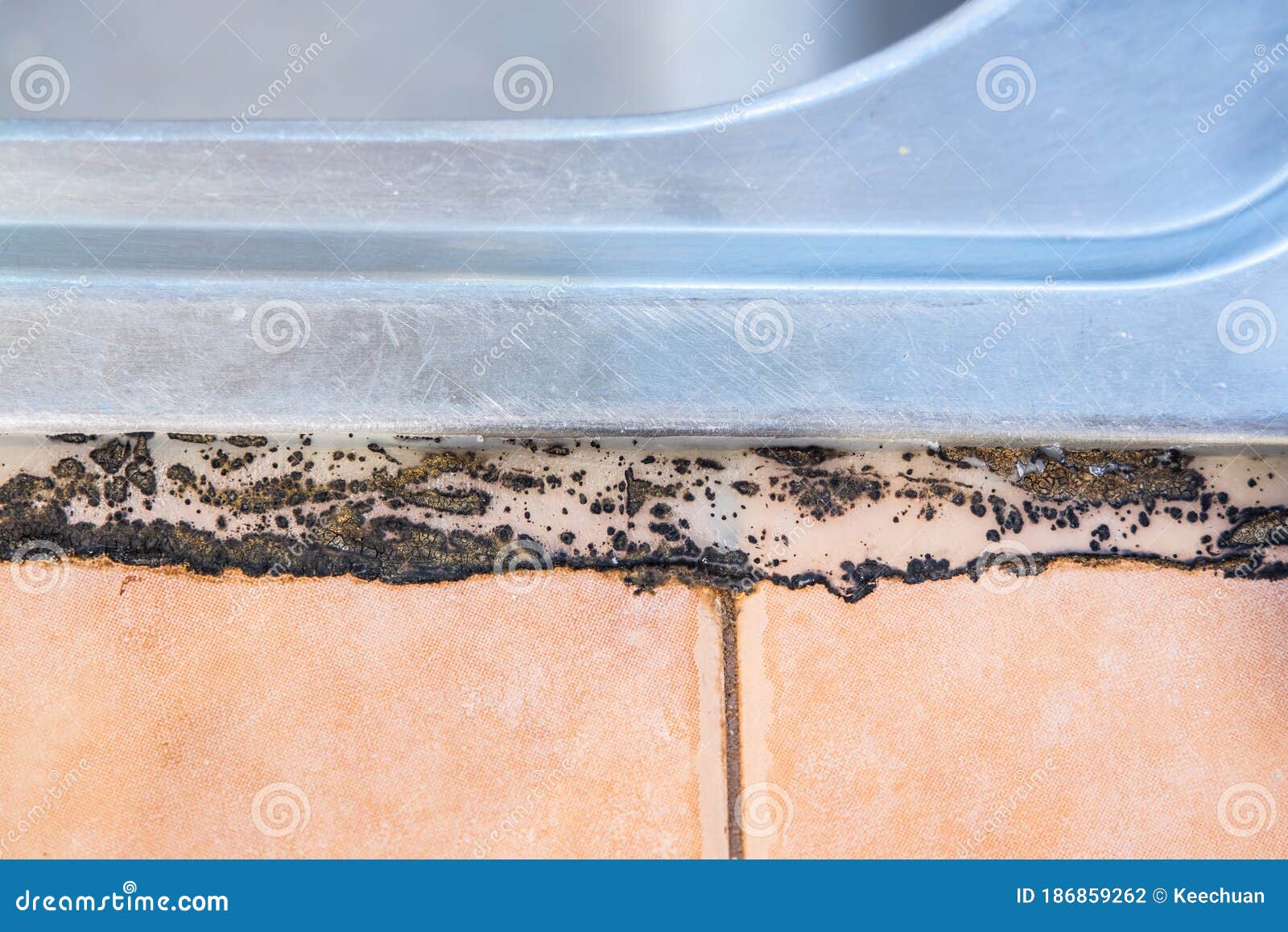close-up on mildew mold developed on kitchen sink silicon seal
