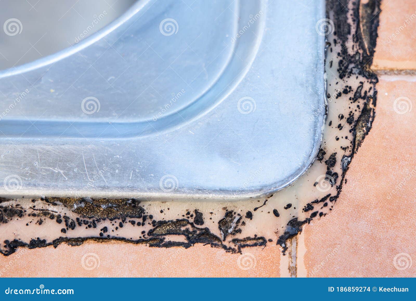 close-up on mildew mold developed on kitchen sink silicon seal