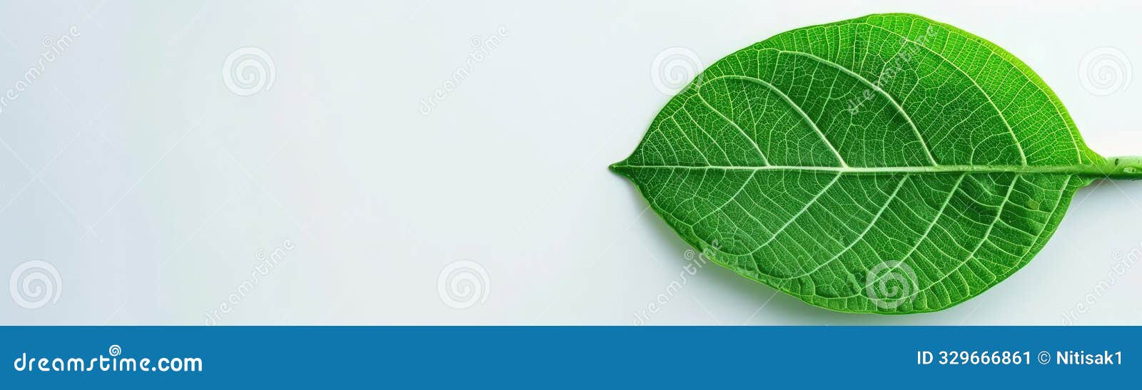 closeup minimal style of closeup of an artificial leaf performing photosynthesis