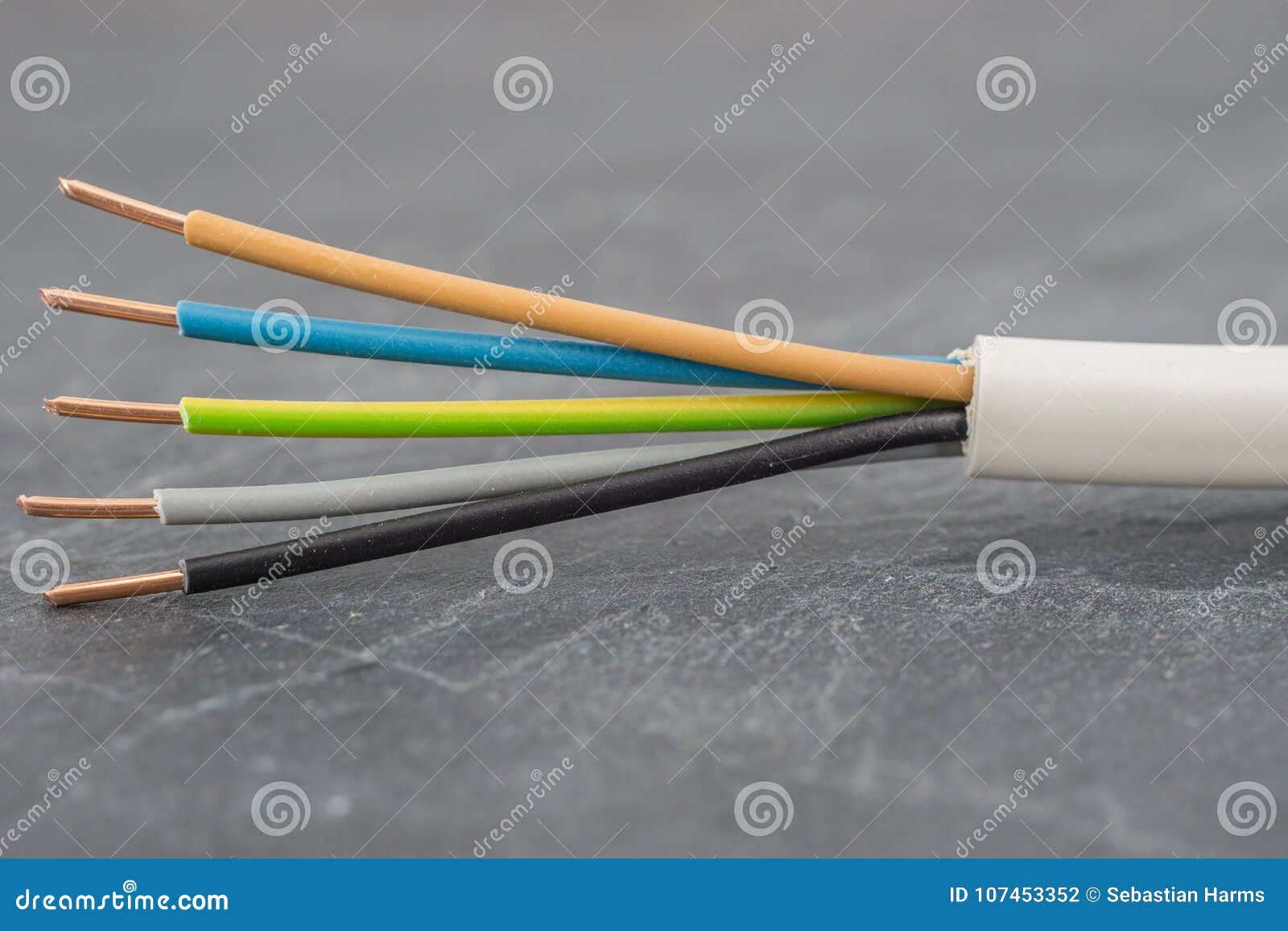 Close Up of a Multiconductor Insulated Power Cable Stock Photo Image