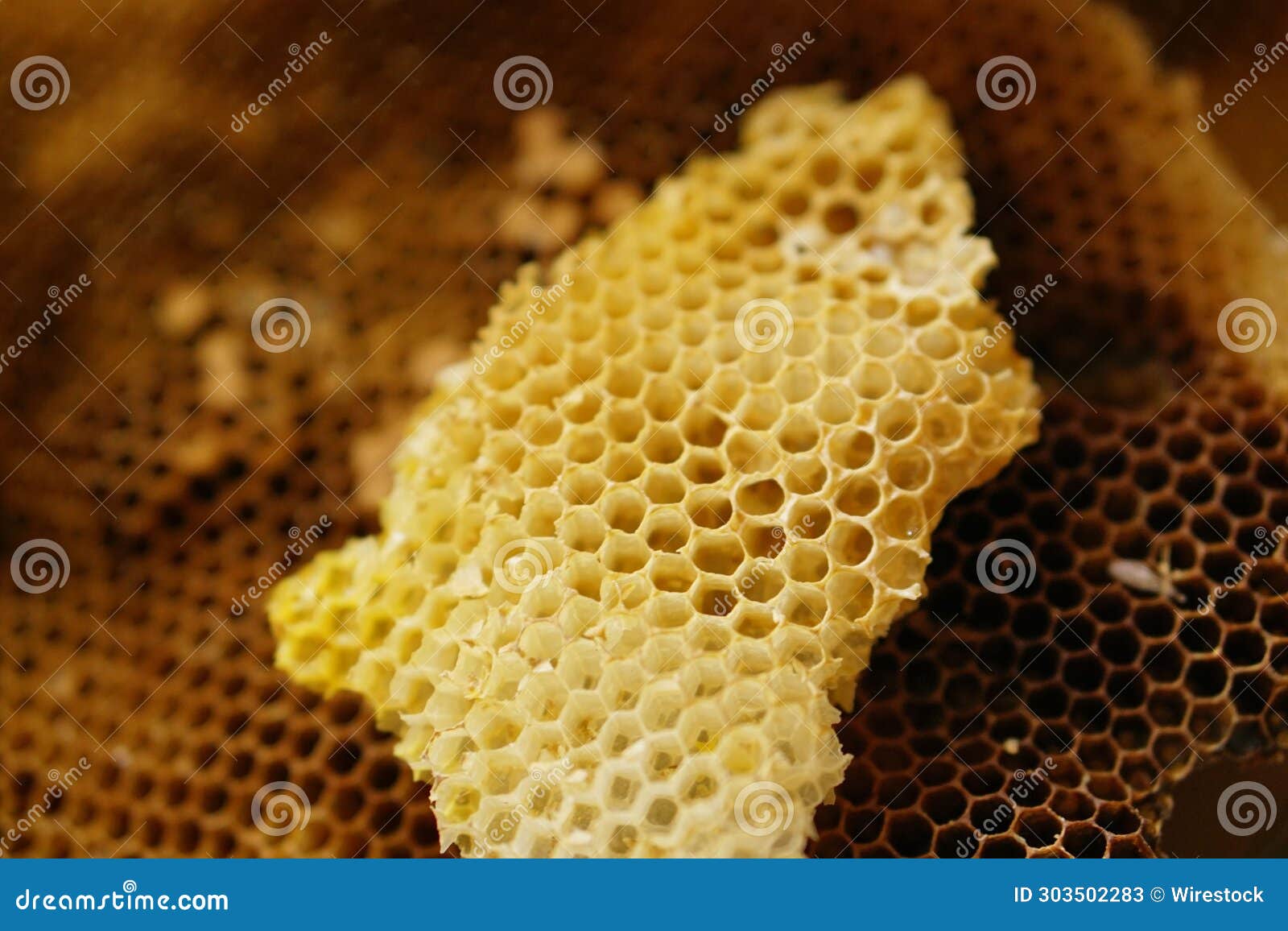 close-up of multiple honeycombs filled with a yellow, syrupy substance