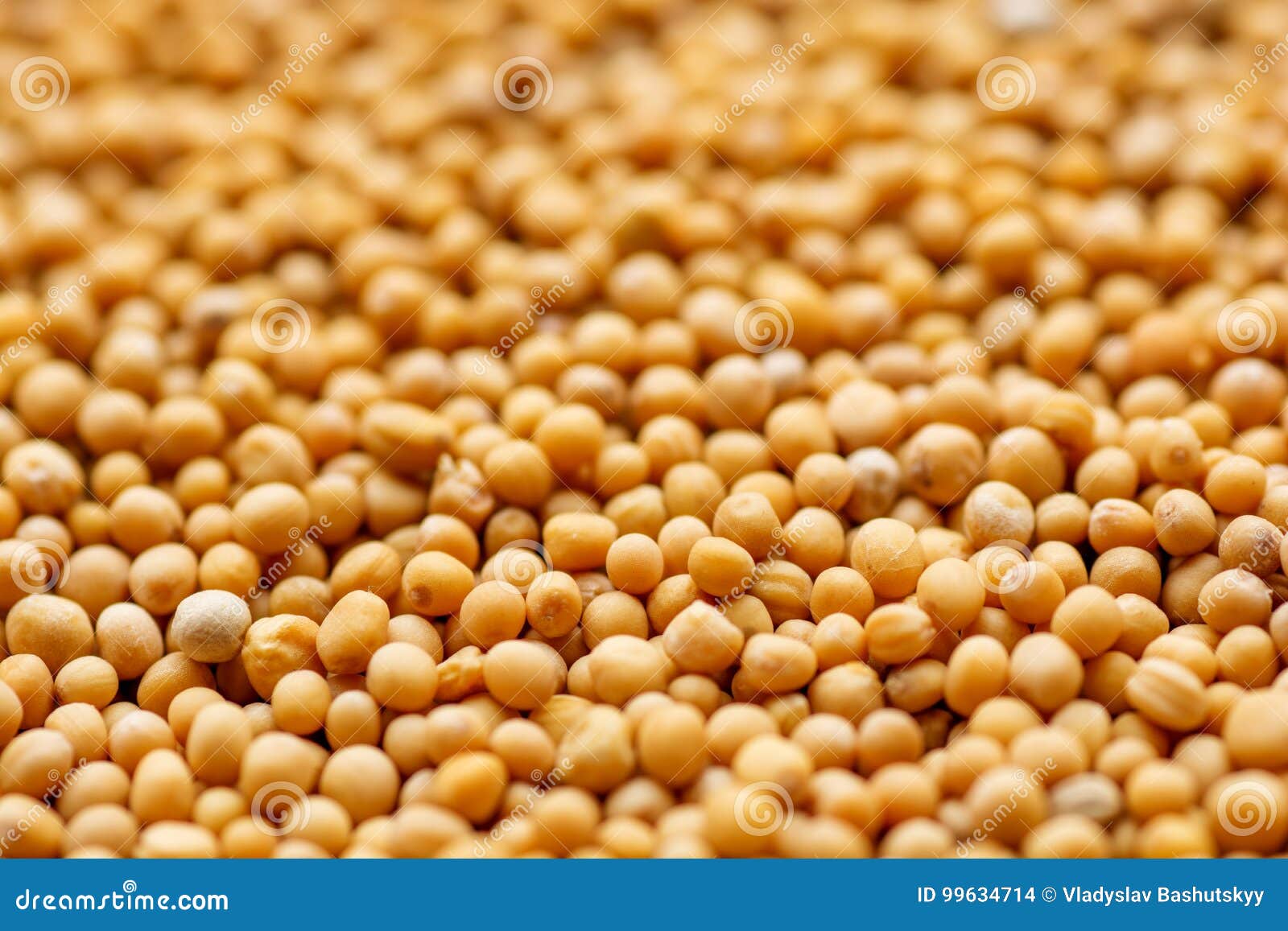 Close Up Mustard Seed Background Stock Photo Image of background