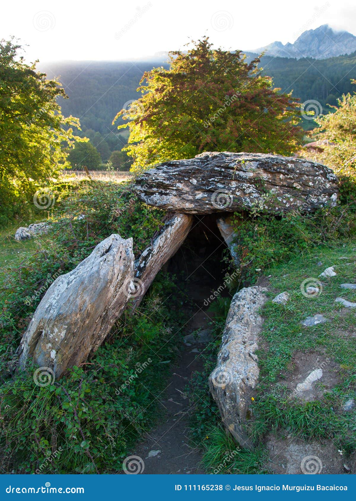 se-up of a neolithic stone dolmen.