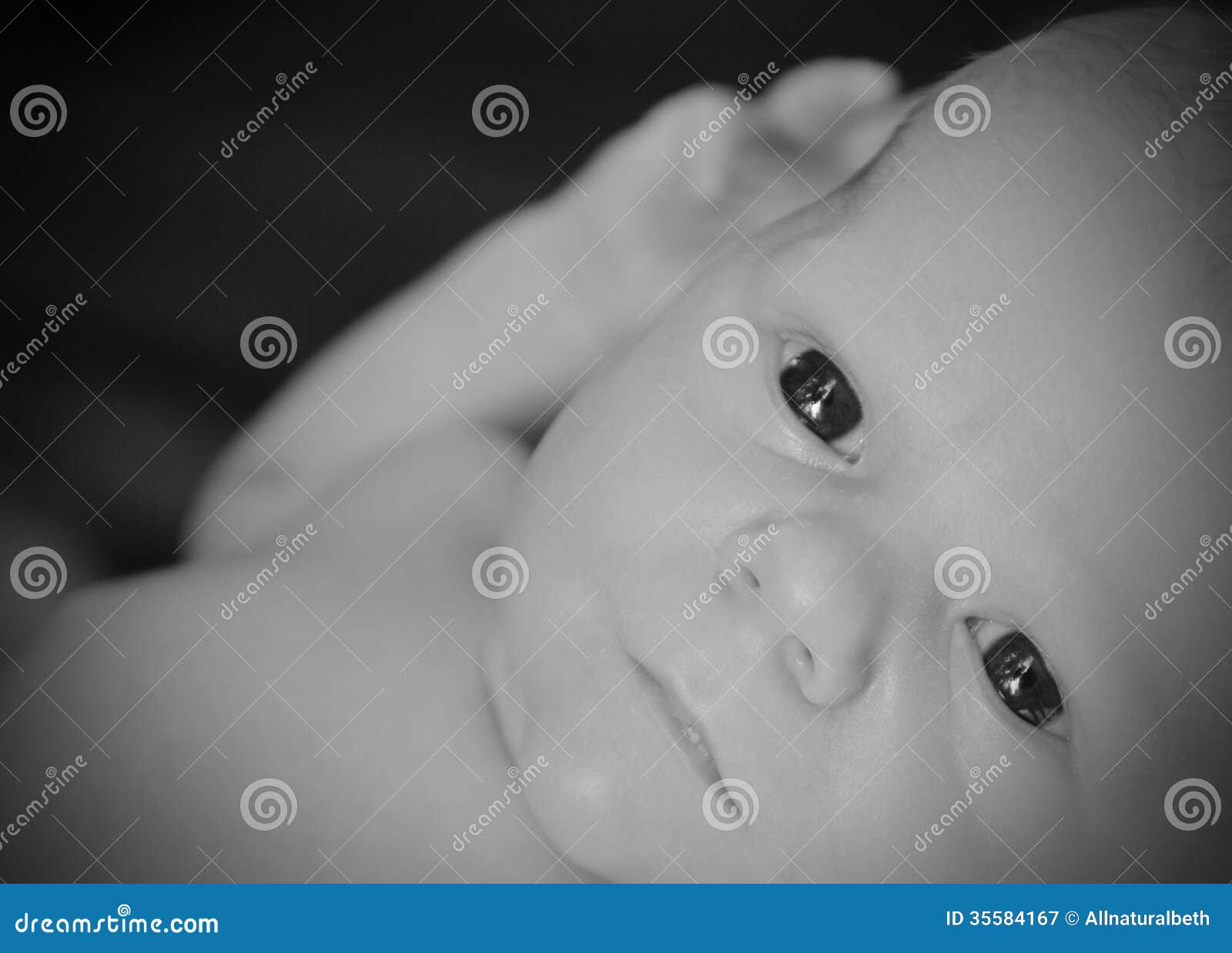 Close Up Of Newborn Infant Stock Image Image Of Caucasian 35584167
