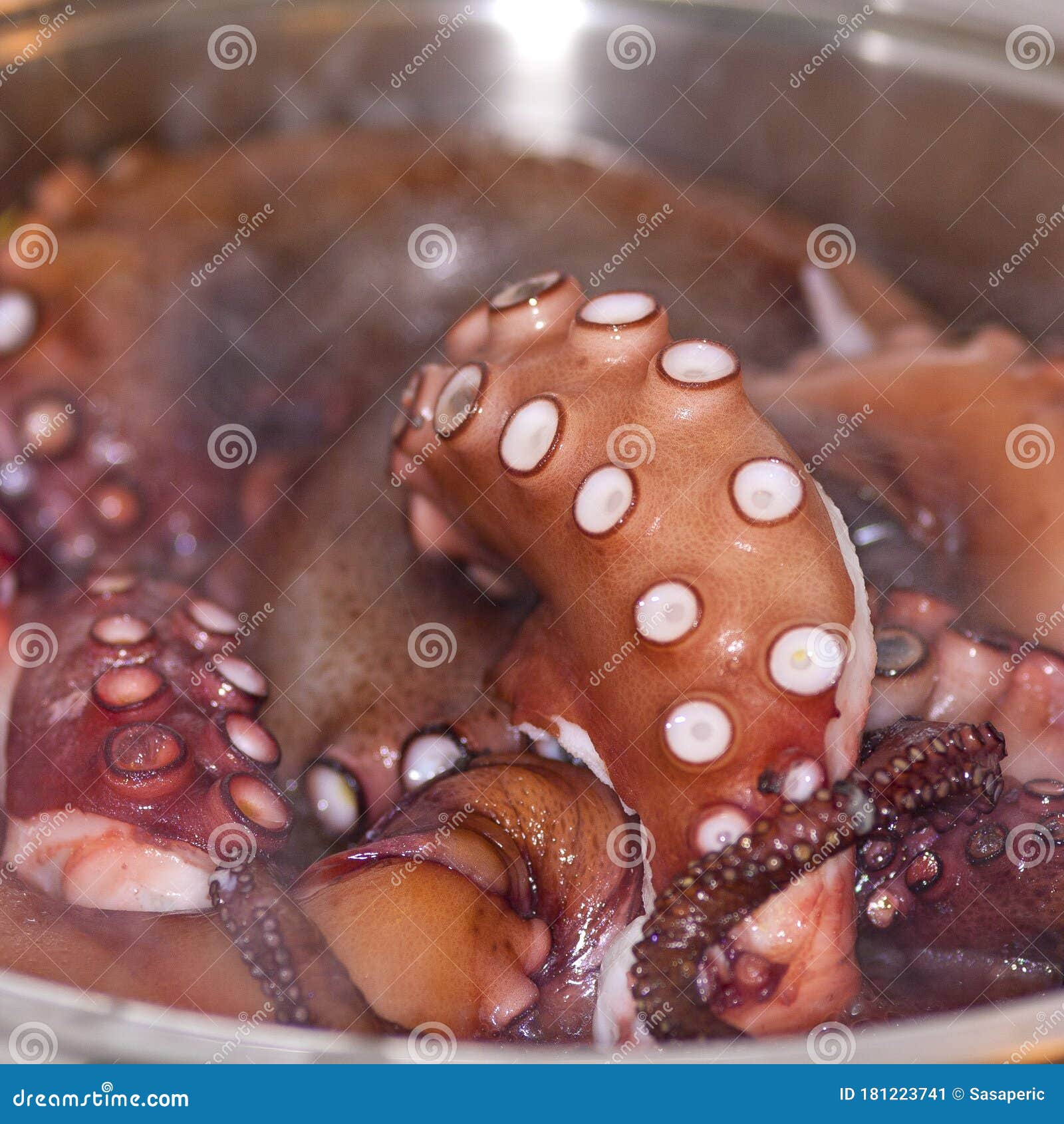 219 Close Up Tentacles Red Octopus Stock Photos - Free & Royalty-Free Stock  Photos from Dreamstime
