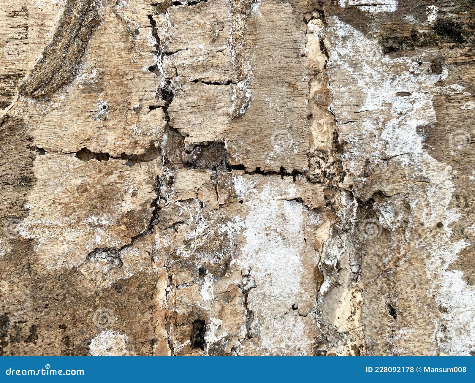 Old Broken Wood Texture Background Stock Photo Image of wall, brown