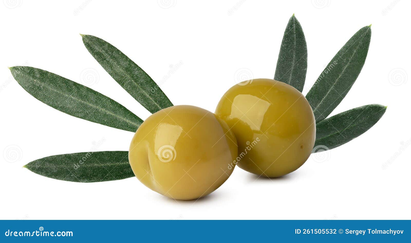 Close Up of Olives with Olive Leaves Isolated on White Stock Photo