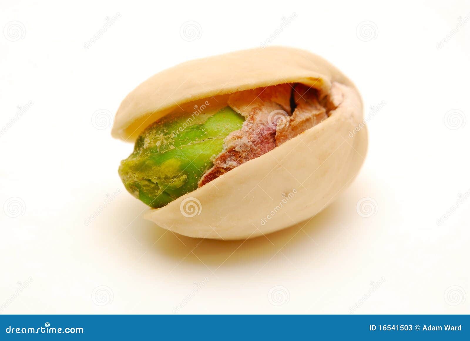 Close Up of One Pistachio Nut Isolated Stock Image Image of food