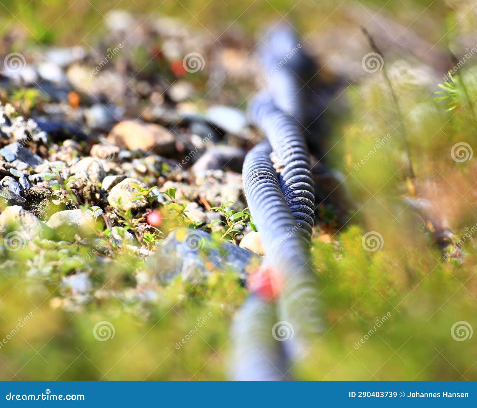 Close Up of Pair of Steel Cables Lying Outside on the Ground Stock
