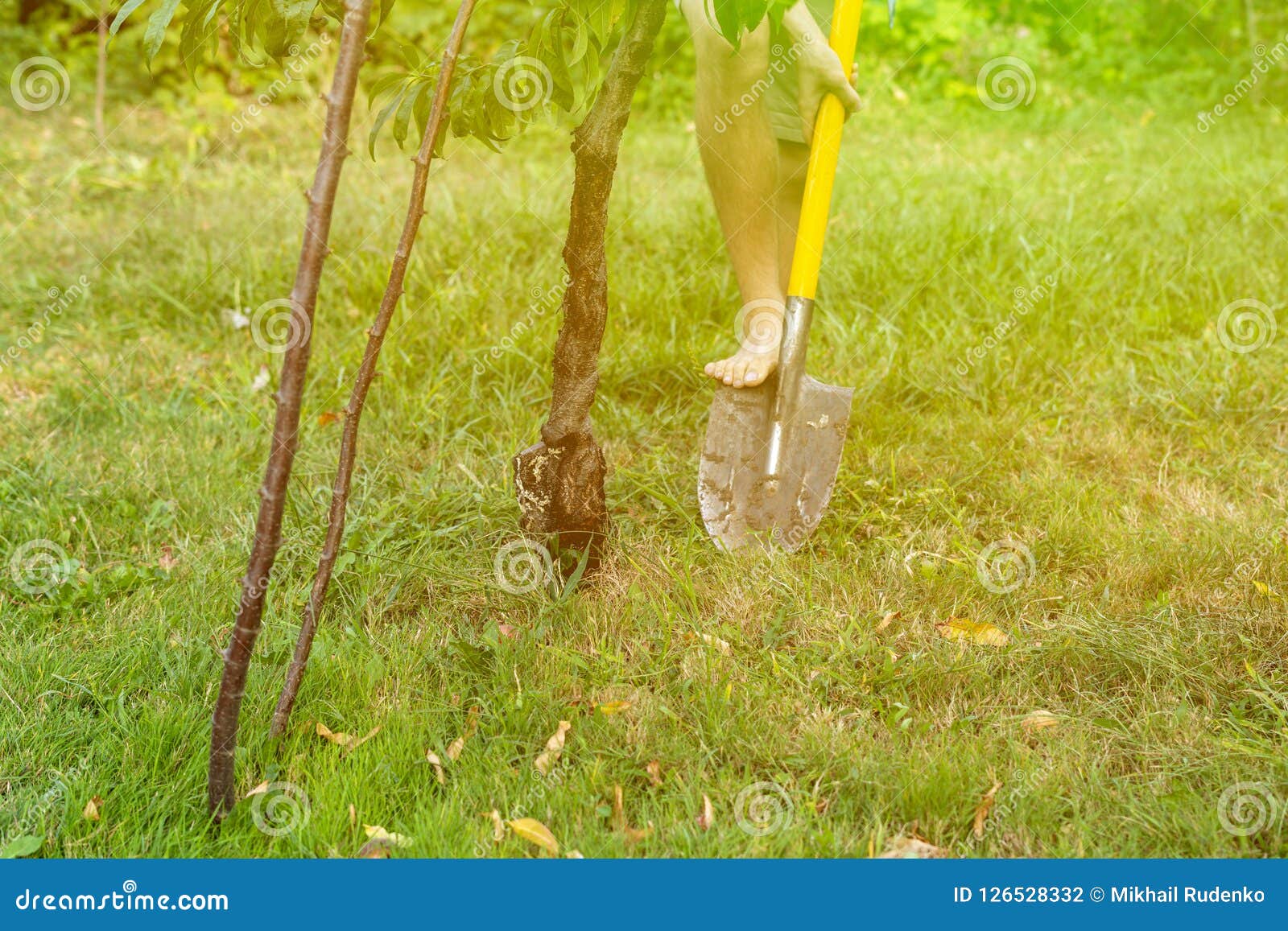 Close Up Person Legs Work in Garden and Digging Using Shovel S Stock ...