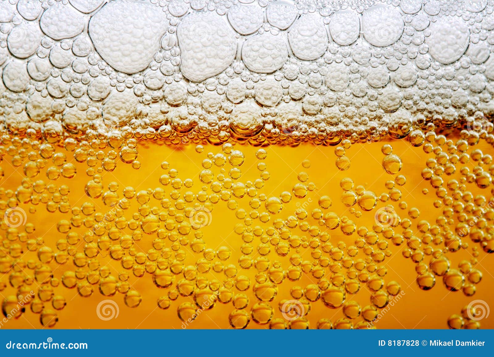 Close up photo of beer stock photo. Image of drink, yellow 8187828