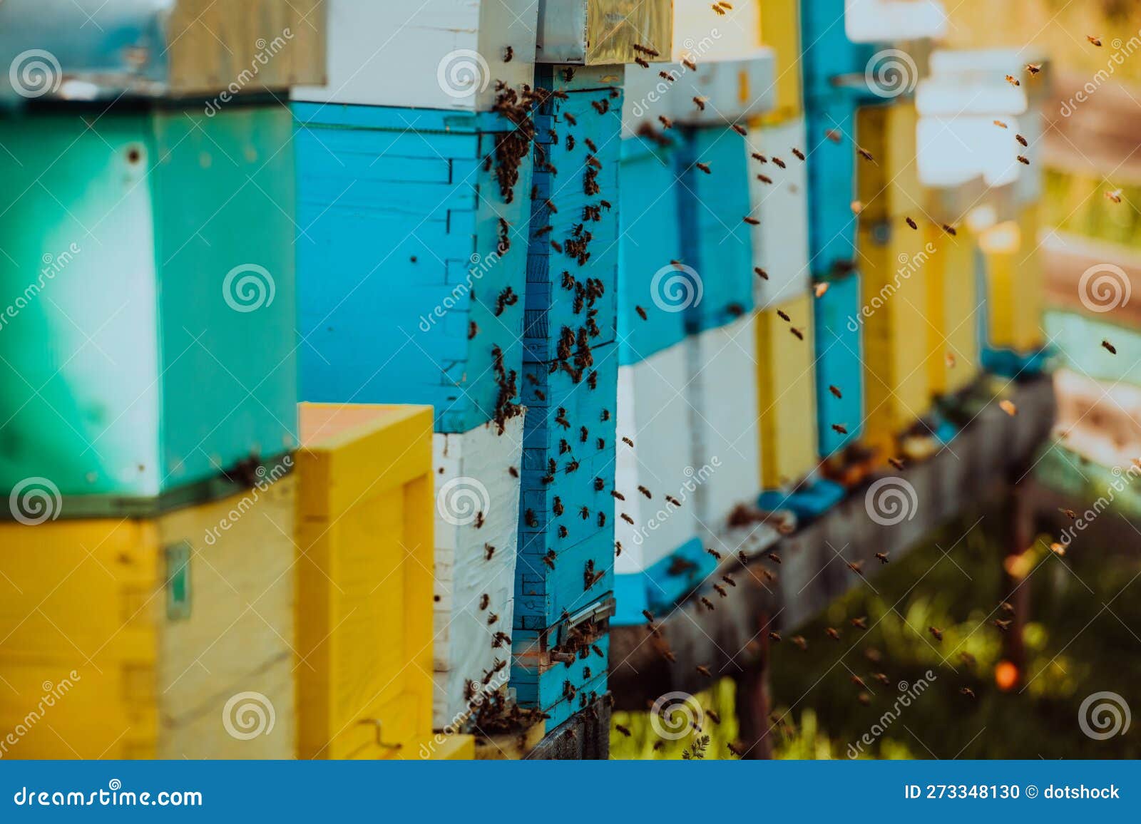 close up photo of bees hovering around the hive carrying pollen