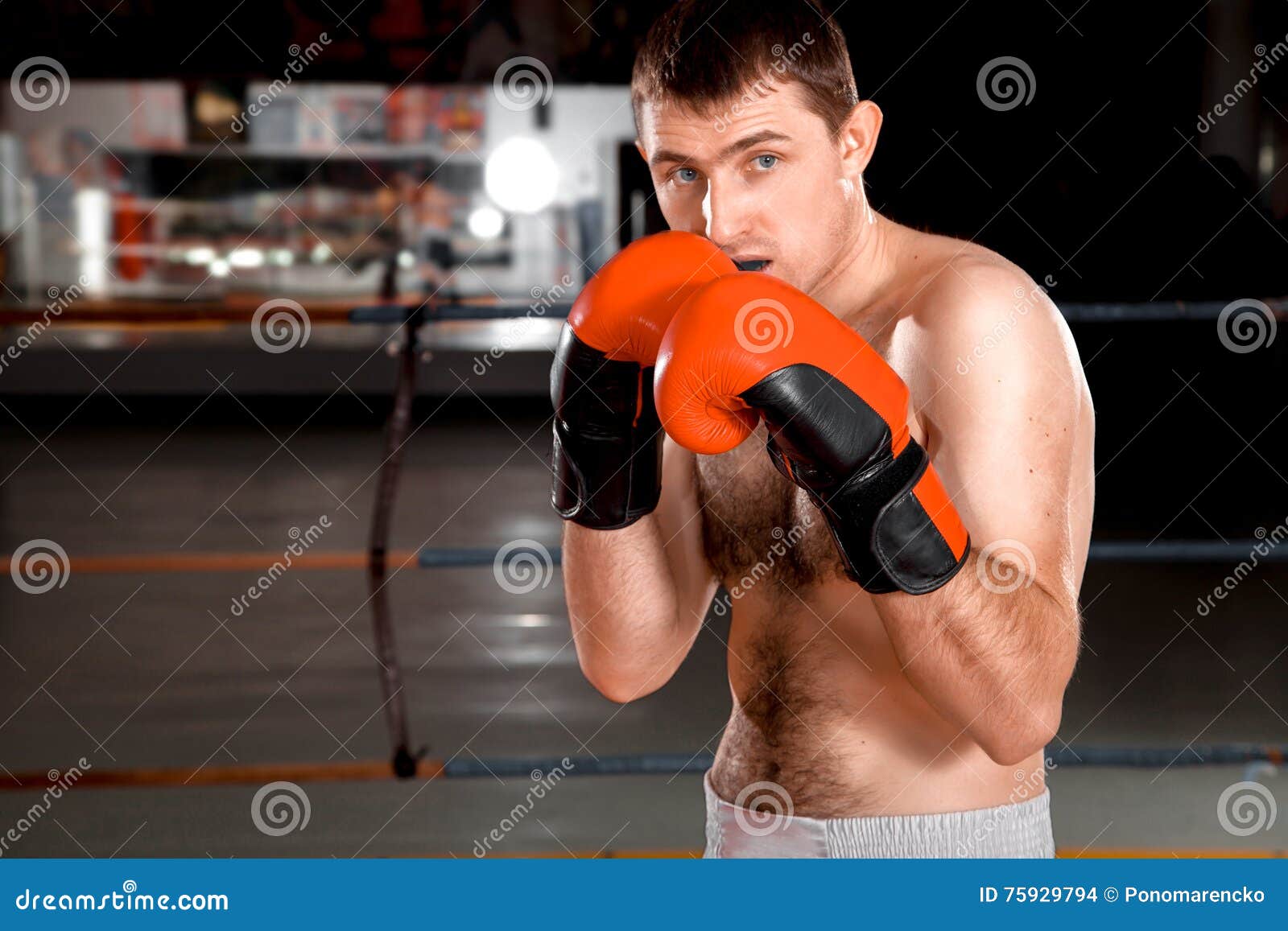 Closeup Photo of a Boxer on the Ring Stock Photo Image of boxing
