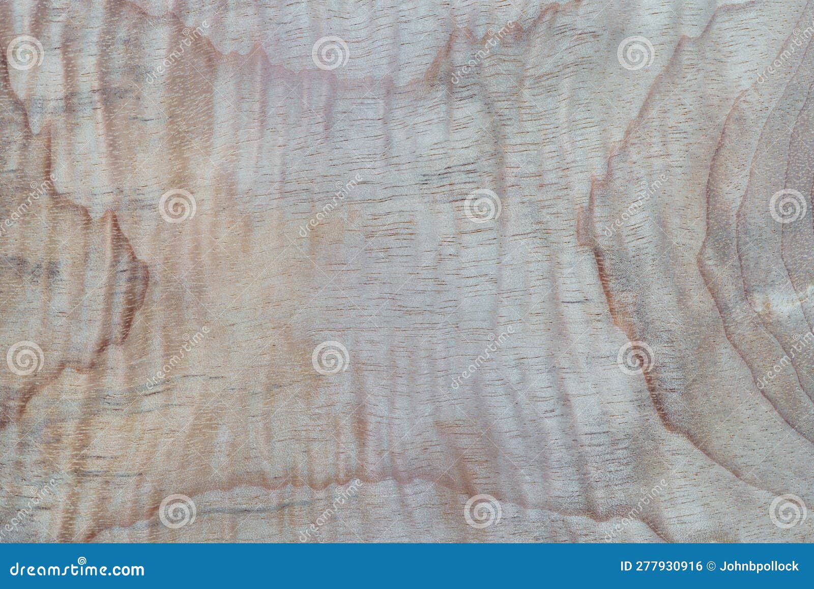 close-up photo of oregon myrtlewood background