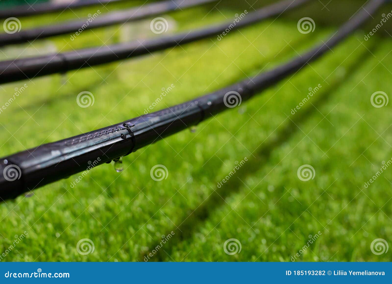 Close Up Photo with Selective Focus of Drip Irrigation System on the