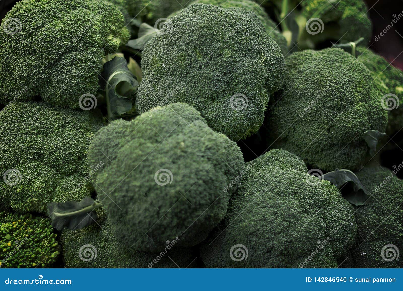 Closeup Photos of Many Fresh Broccoli Groups Stock Photo Image of