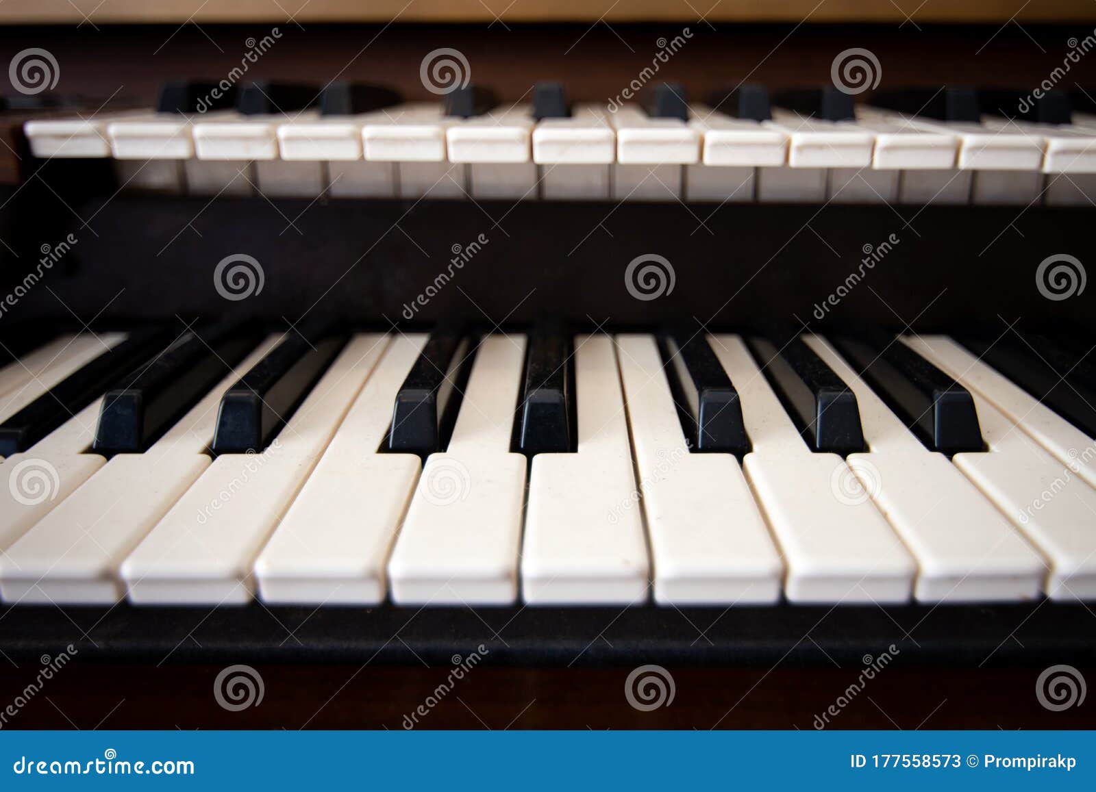 Close Up of Piano Keyboard Front View Stock Image - Image of front