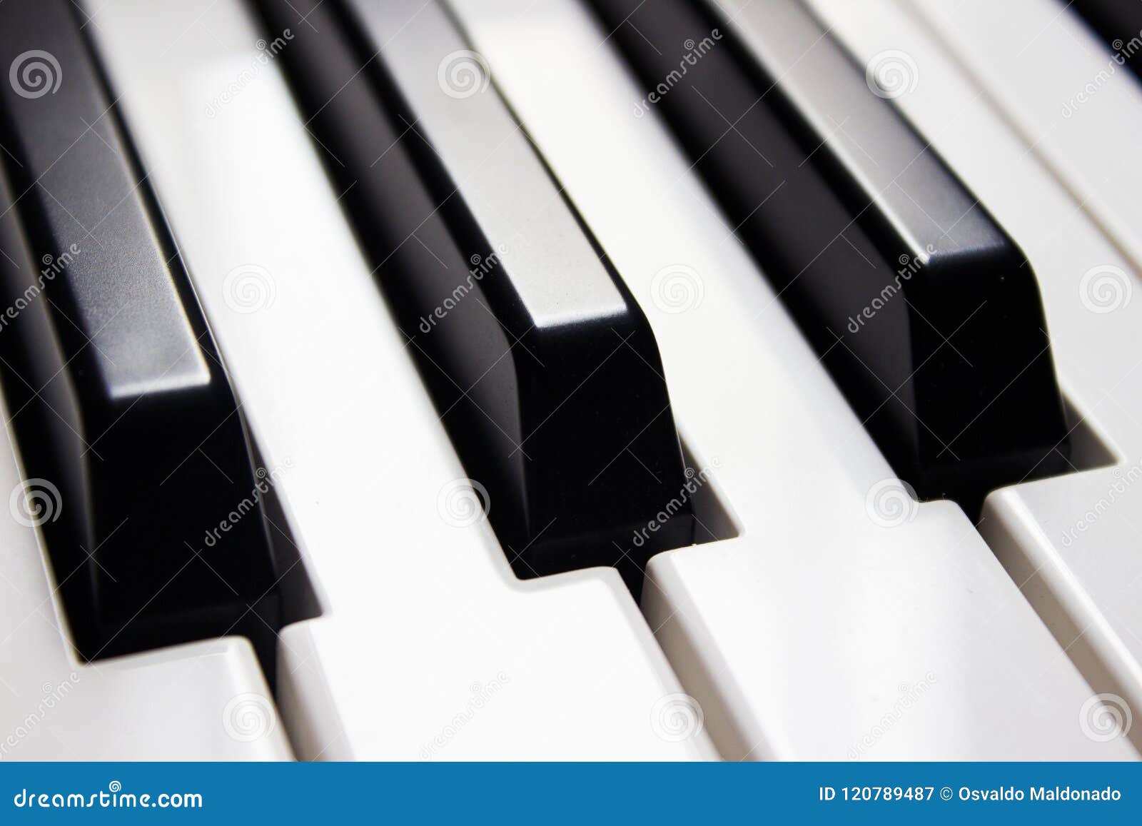 close-up piano keys