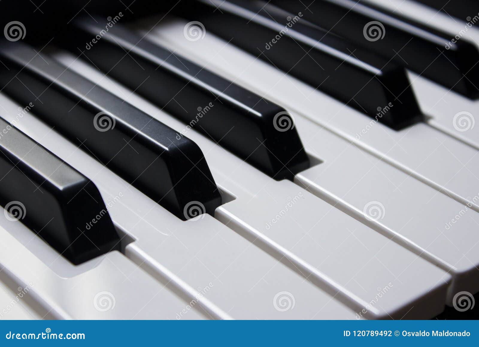 close-up piano keys