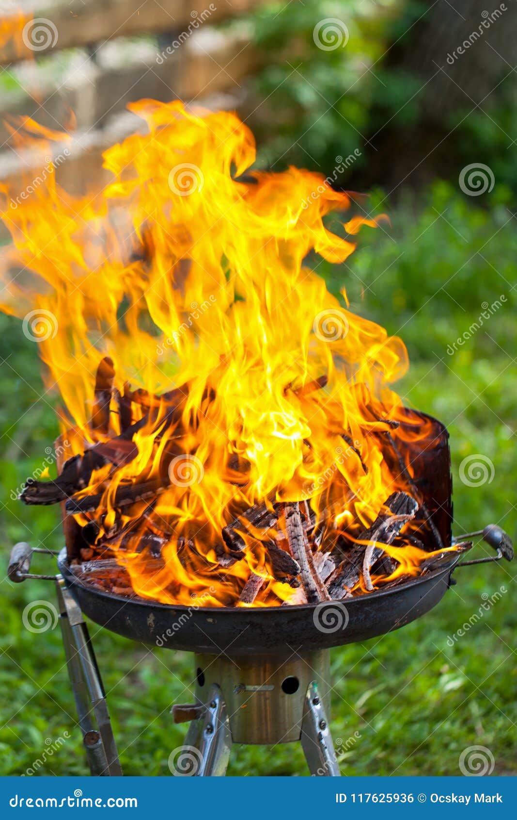 Barbeque fire stock photo. Image of coals, barbeque - 117625936