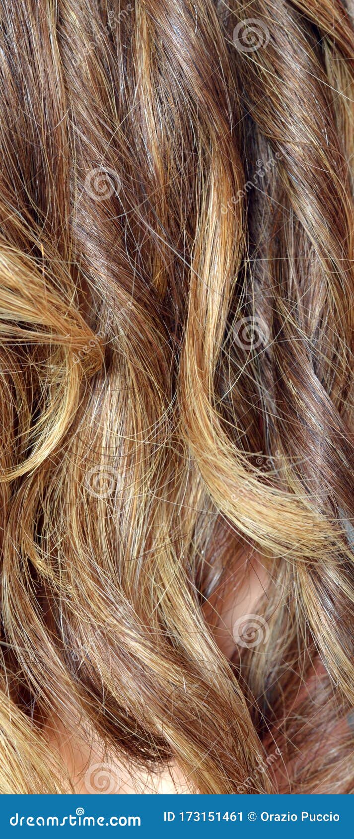 Close Up Pictures of Golden Blonde Hair Stock Image - Image of females, hair:  173151461
