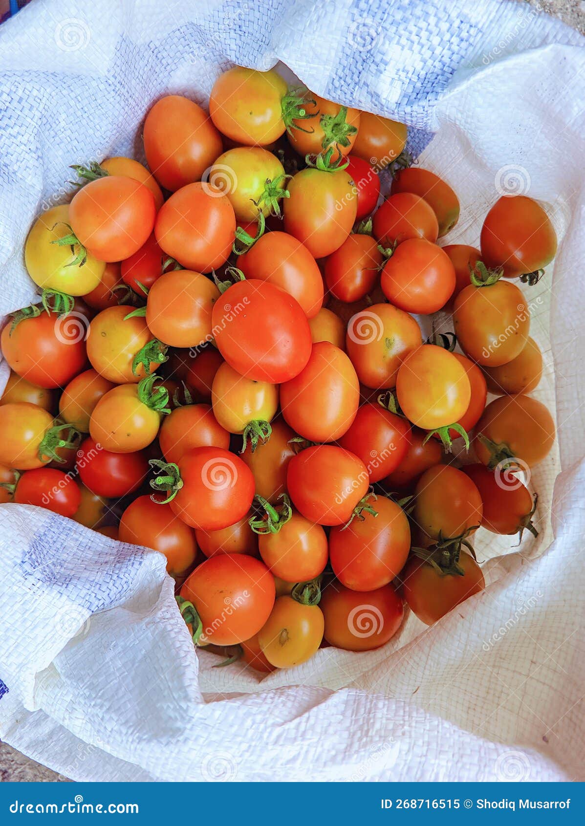 Close Up of a Pile of Fresh Red Tomatoes, Fresh Red Tomato Yields Stock ...