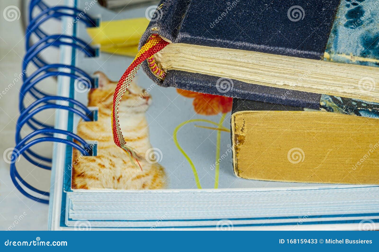 close up piles of books