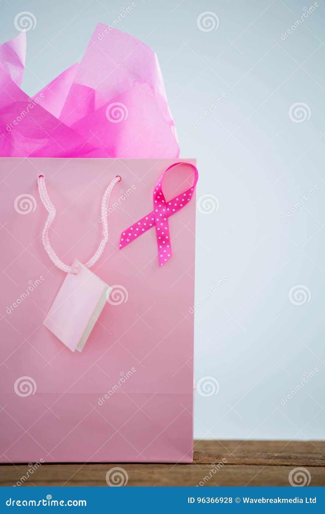 Pink Ribbon Gift Bags  Fiesta Party Supplies