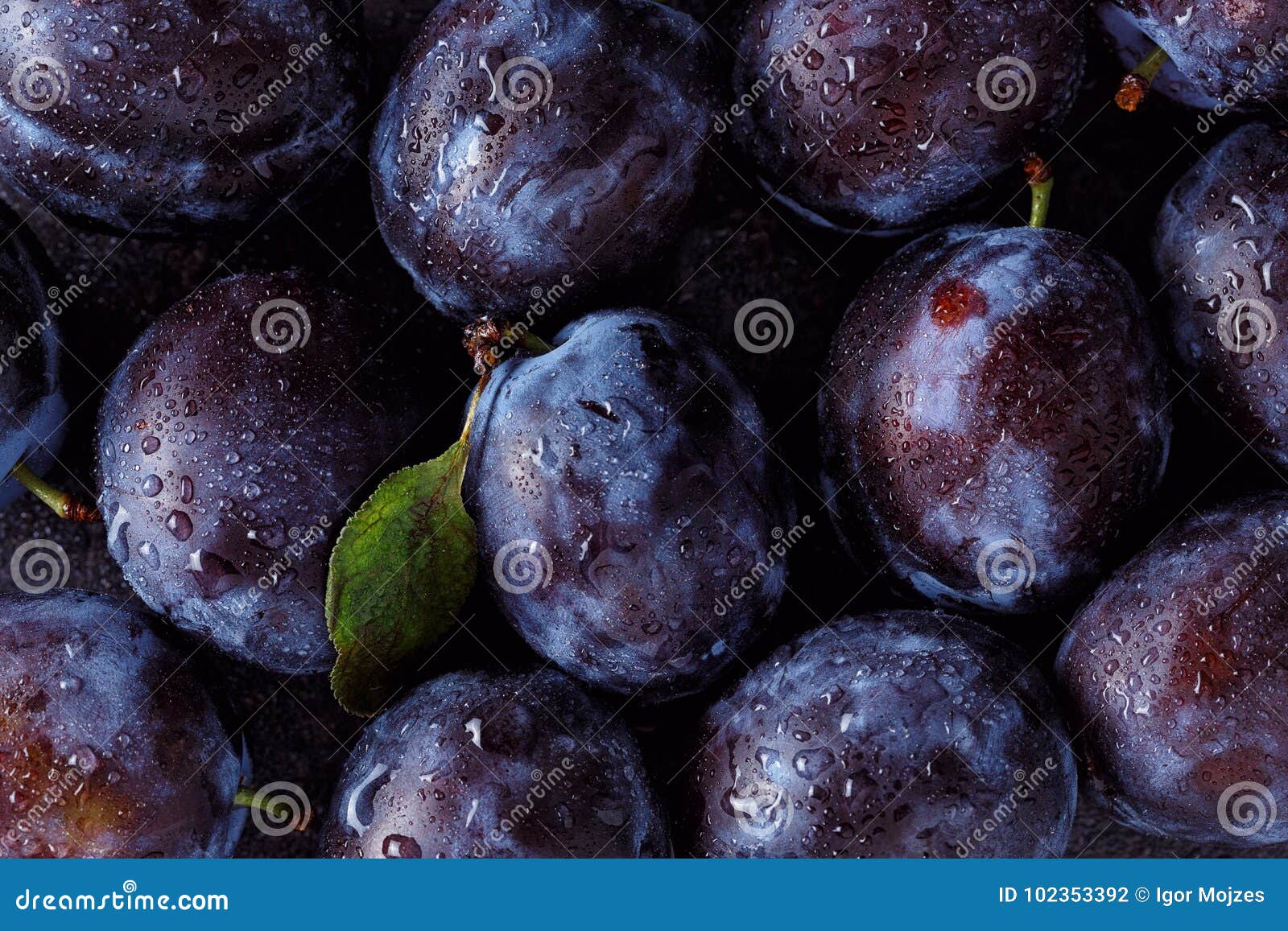 close up of plum on dark