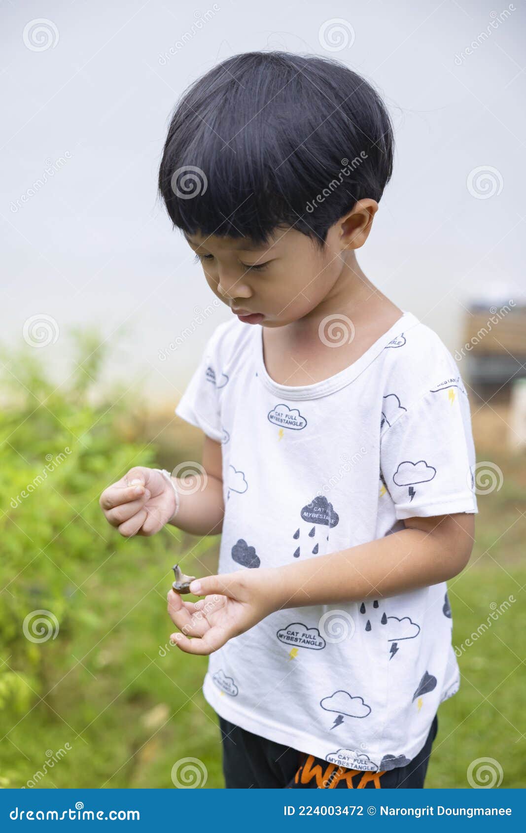 Straight Hair Asian Boy Stock Photos - Free & Royalty-Free Stock Photos  from Dreamstime
