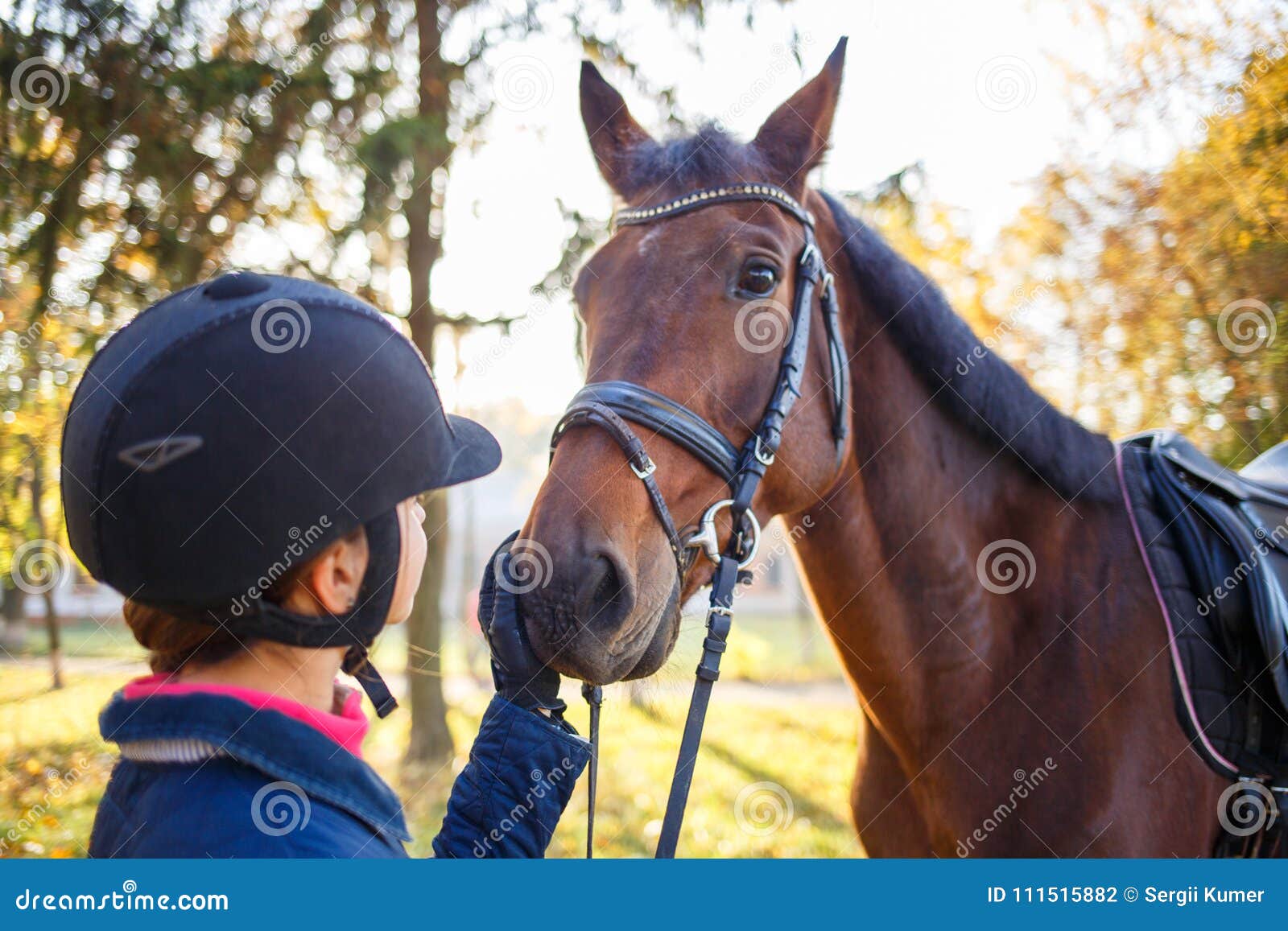 close up portrait of bay horse with rider girl