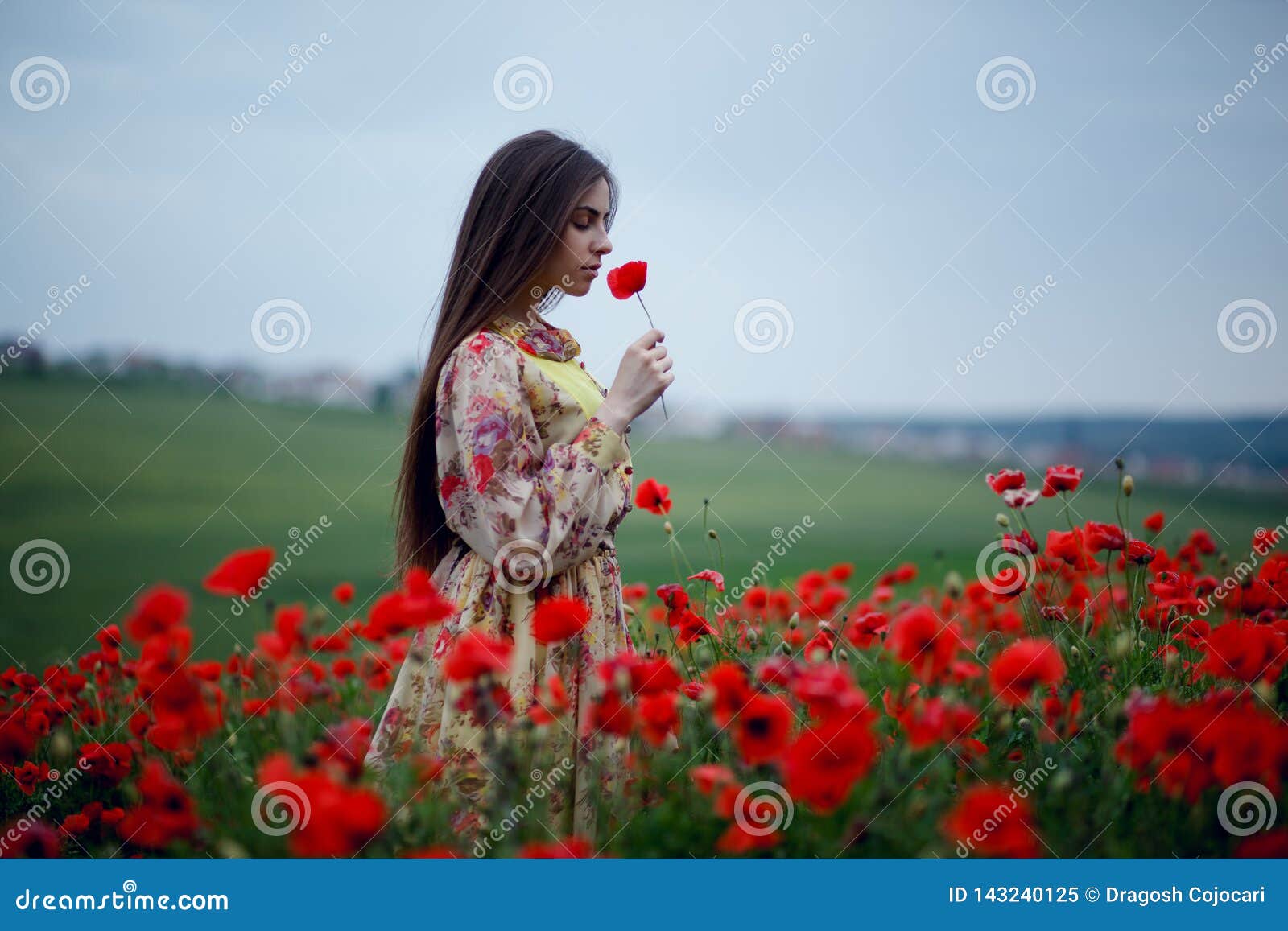 The Profile of a Beautiful Long Haired Girl in a Delicate Floral ...