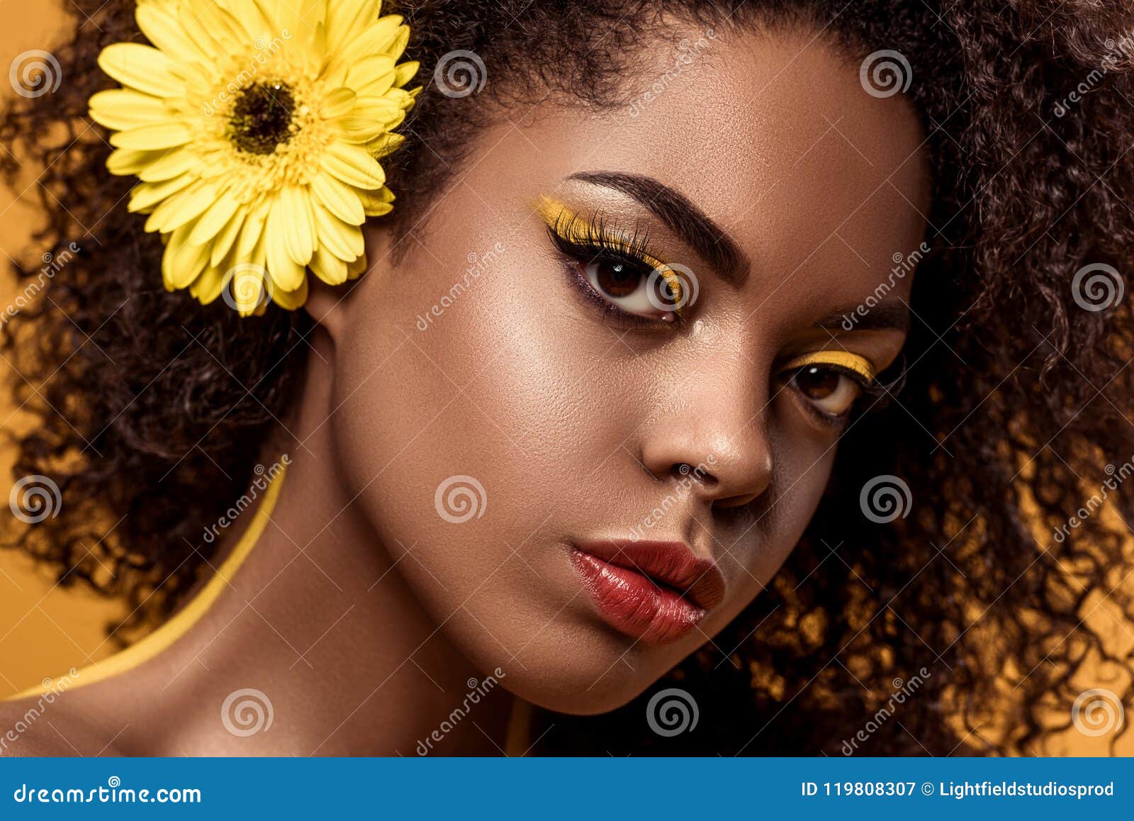 Close-up Portrait of Young Sensual African American Woman with Artistic Make-up and Gerbera in Hair Stock Image - Image of charming, afro: 119808307 Close-up Portrait of Young Sensual African American Woman with Artistic Make-up and Gerbera in Hair Stock Image - Image of charming, afro: 119808307
