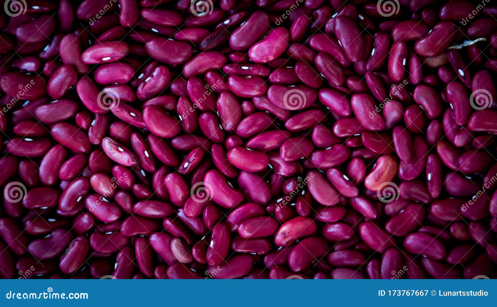 Close Up Purple Beans Background, Purple Beans Seeds Stock Image