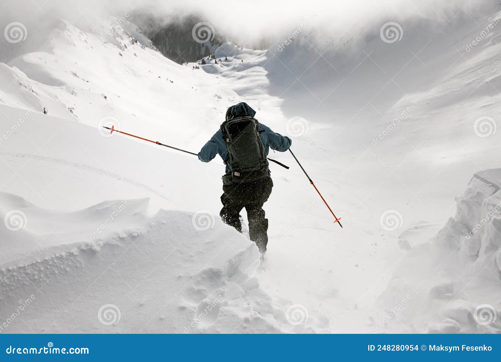 close-up rear view of skier descending from mountain on powdery snow on splitboard