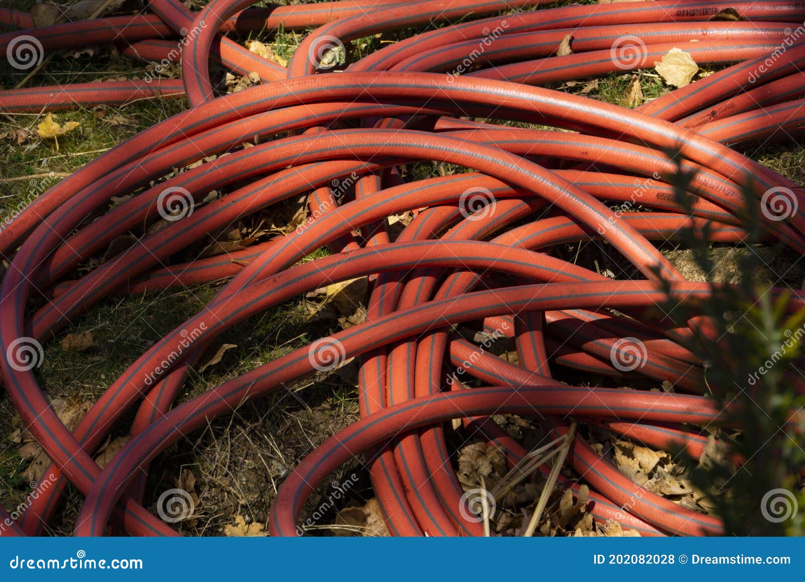 close up red irrigation hose