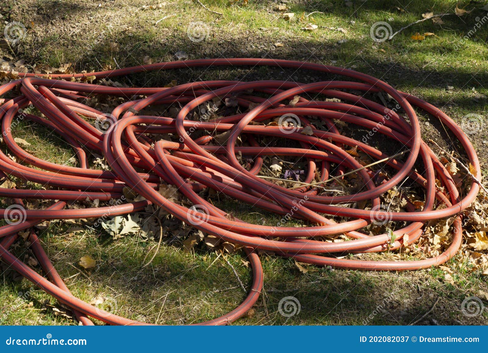 close up red irrigation hose