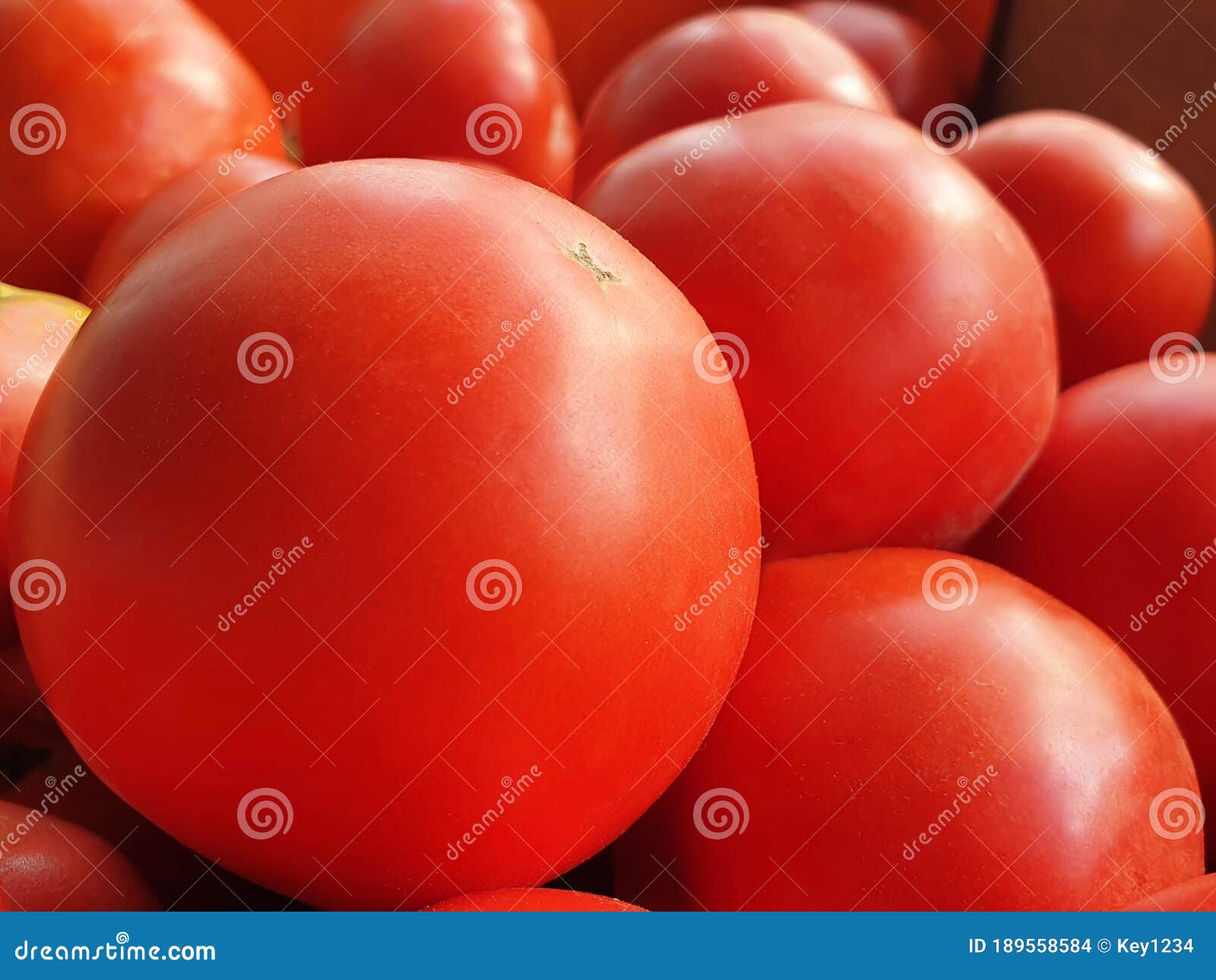 Closeup of red tomatoes. stock photo. Image of color 189558584