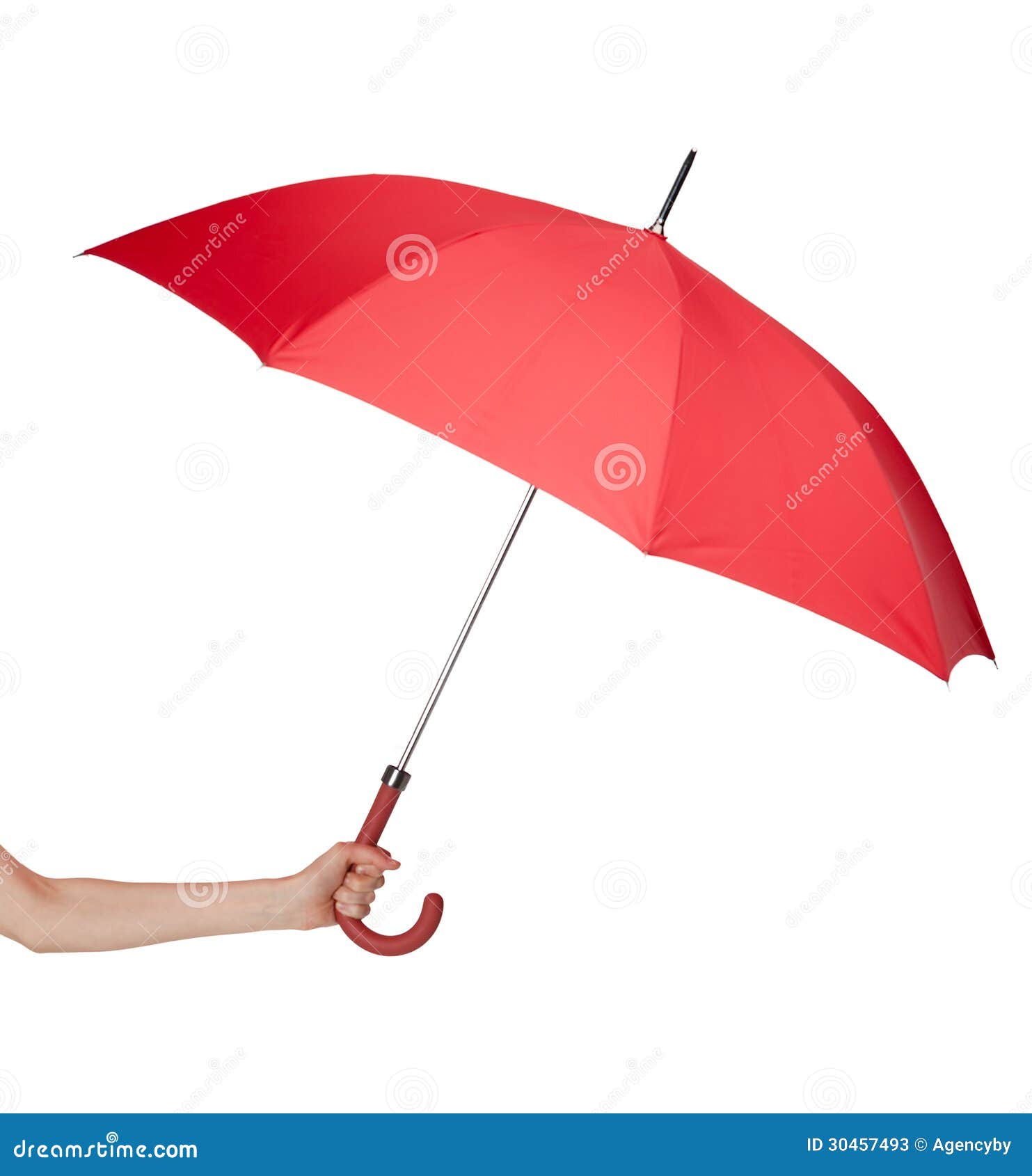 Hand Umbrella Discount, 57% OFF | www.pegasusaerogroup.com