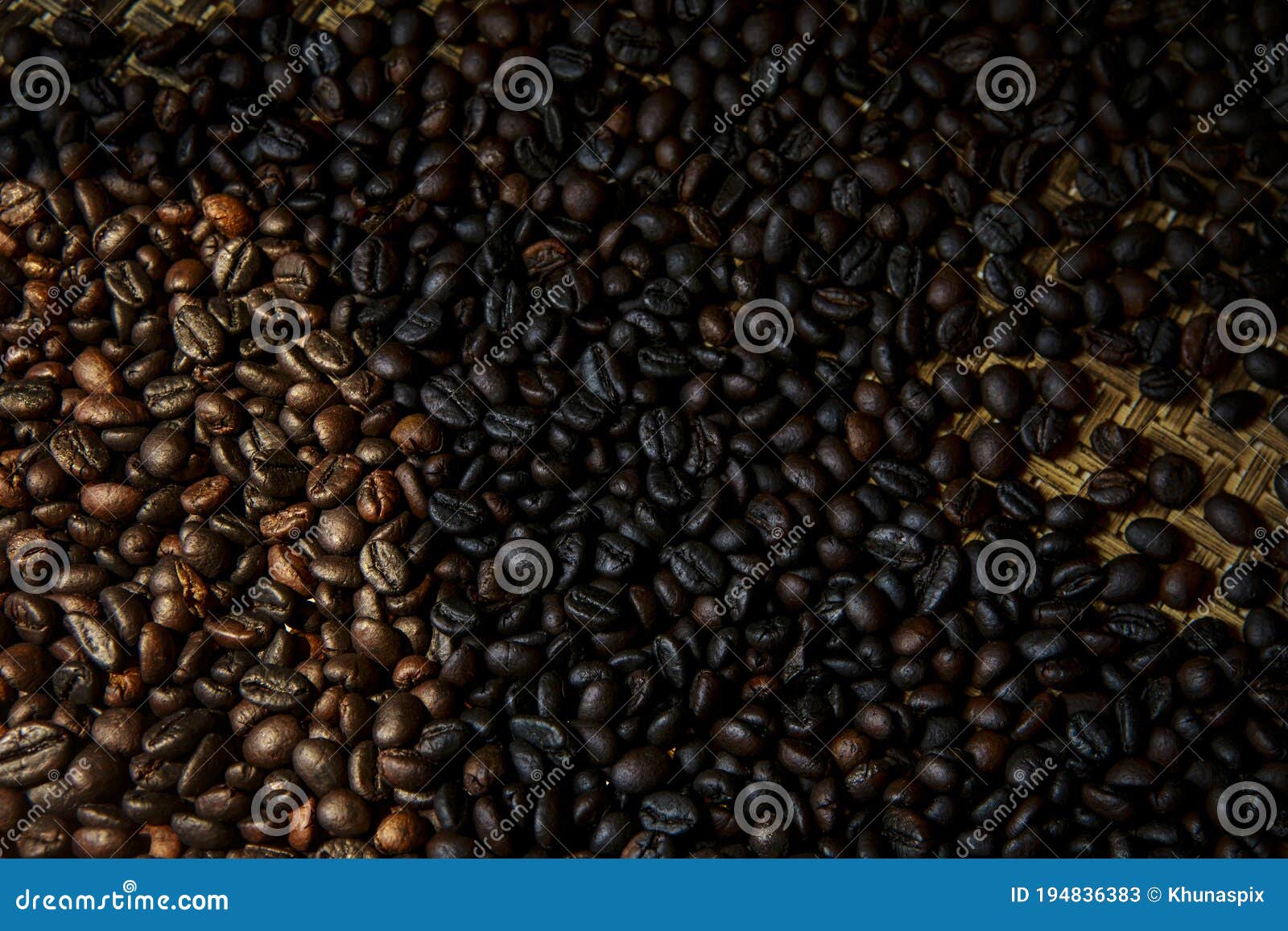 close up robusta coffee seed difference  roasted