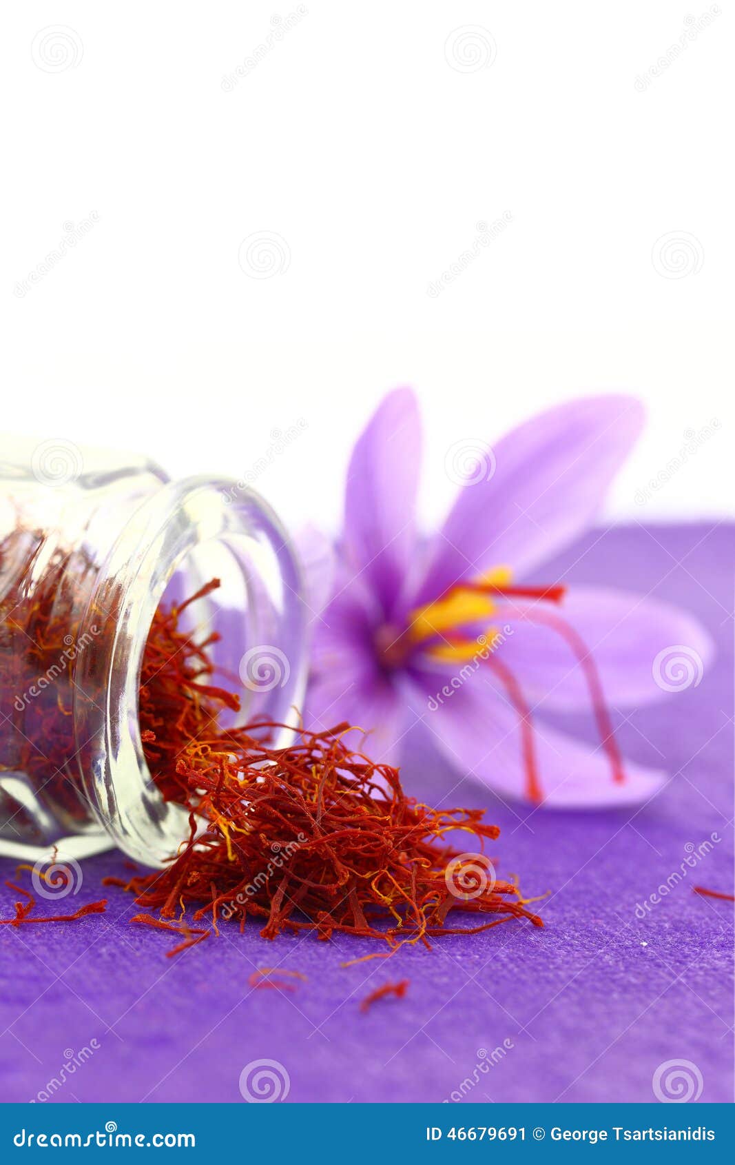 Saffron Flower And Spice Tea Crop In A Box RoyaltyFree Stock Image