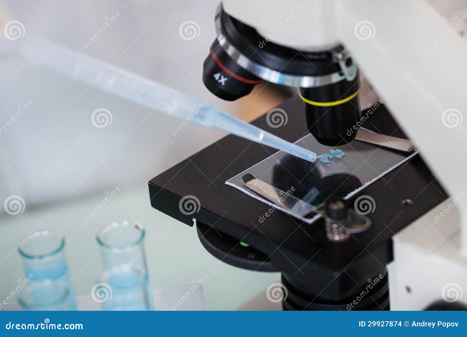 Closeup of Sample on Microscope Slide Stock Photo Image of disease