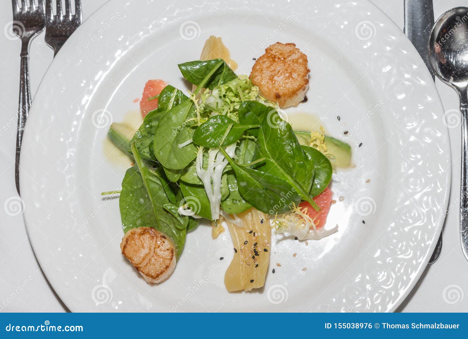 Closeup of Scallops As Starter, Germany Stock Photo Image of cooking