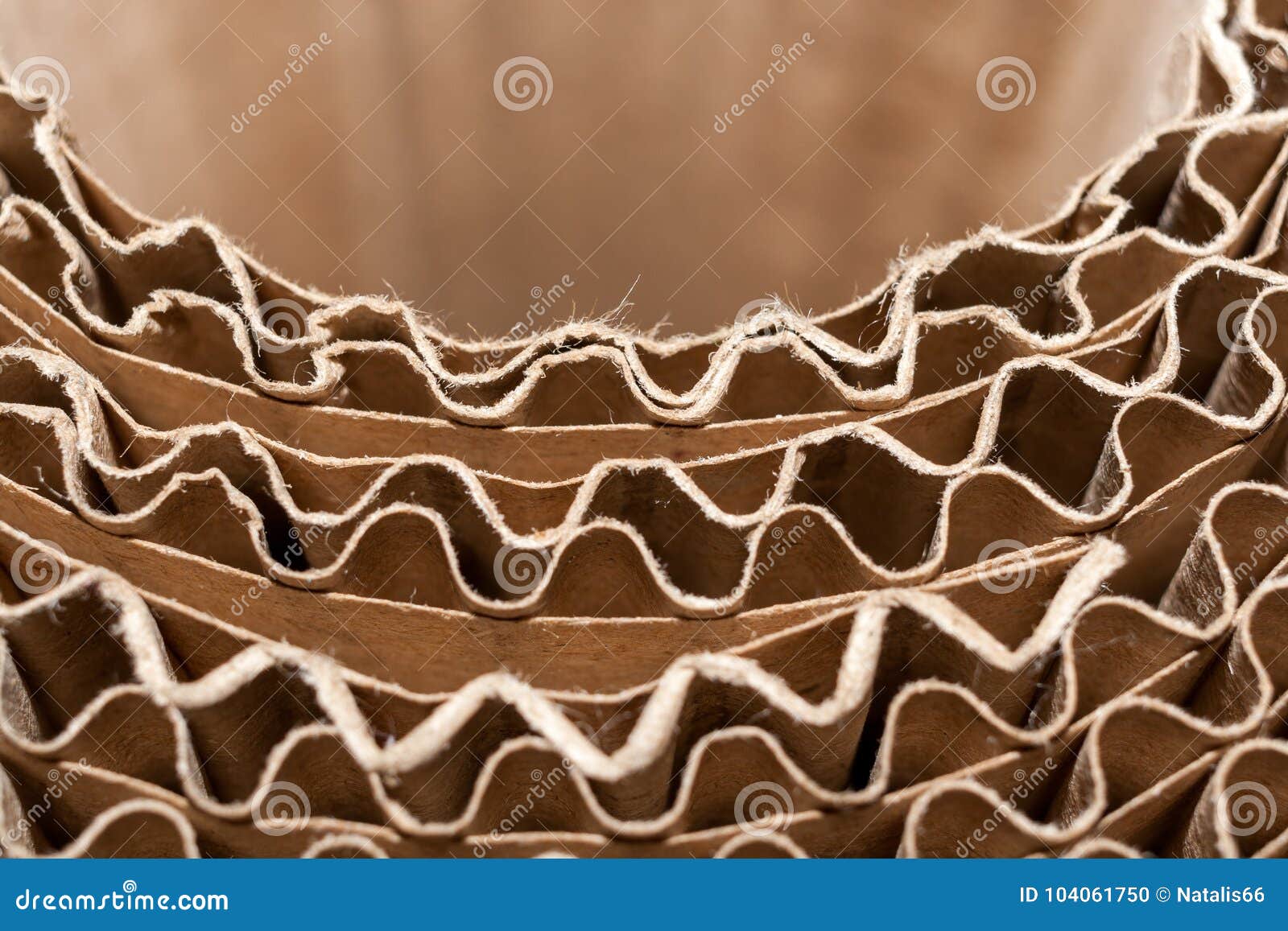 Closeup Semicircular Wavy Layers of Corrugated Cardboard. Stock Photo Image of hole, card