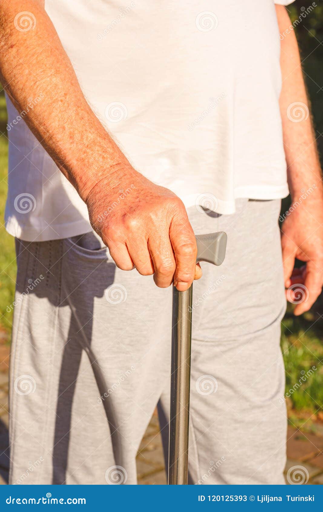 Close Up of Senior Man Hands Holding Stick Stock Image Image of bench
