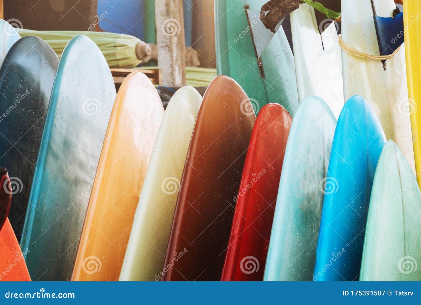 3,978 Colorful Surfboard Stock Photos - Free & Royalty-Free Stock Photos  from Dreamstime