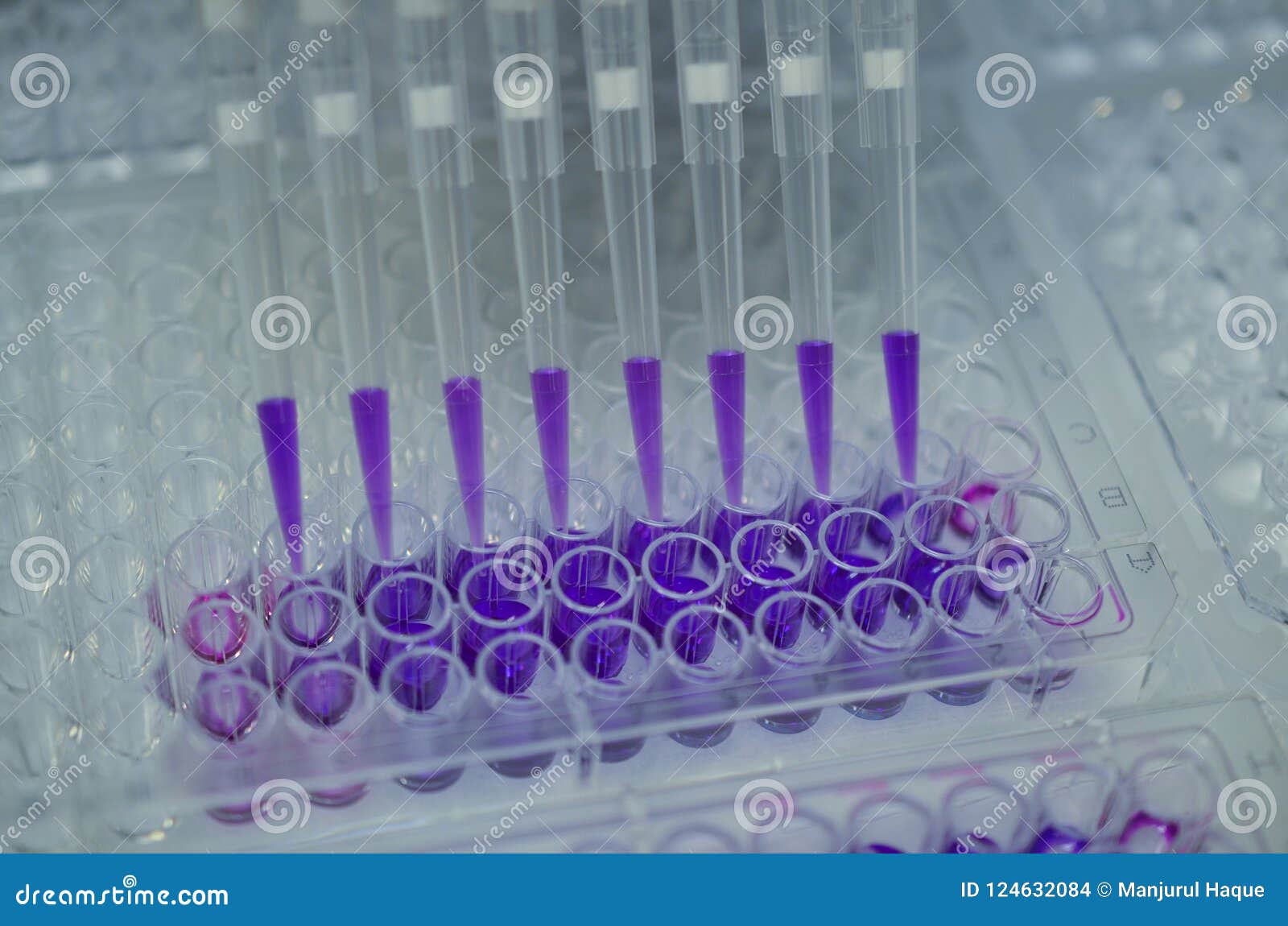 Violet serum in test tubes stock photo. Image of clinic 124632084