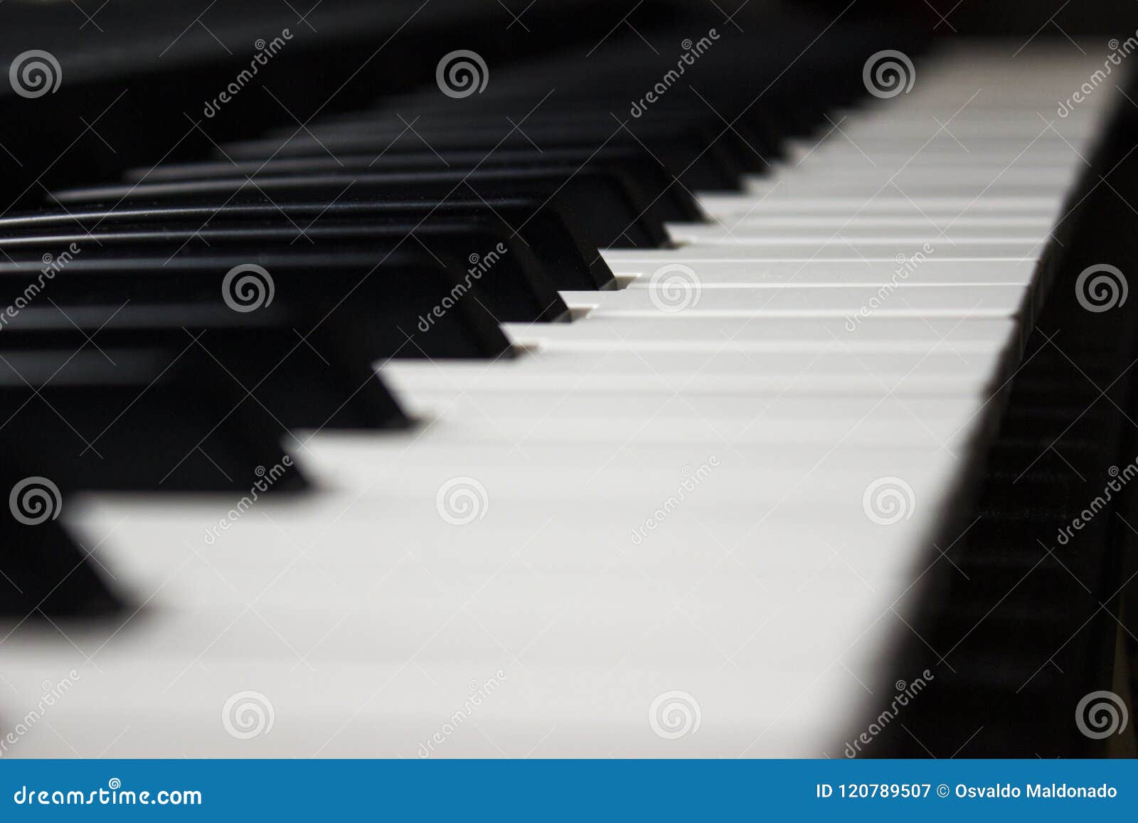 close-up piano keys